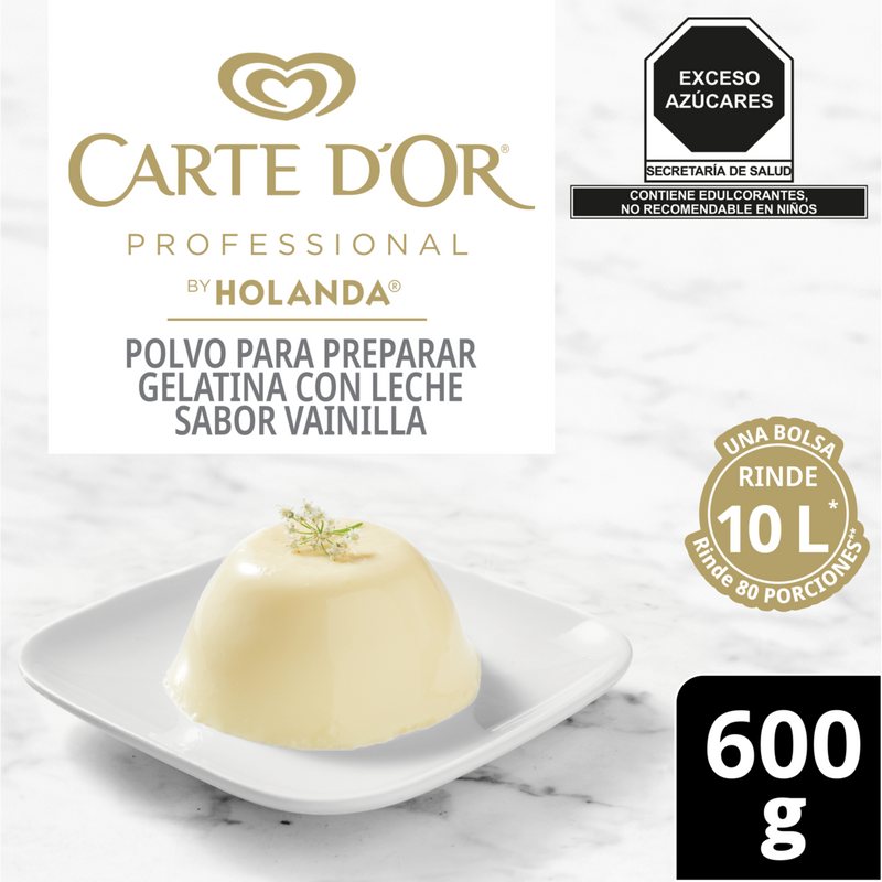 Gelatina de Leche Carte D'Or sabor Vainilla 600g