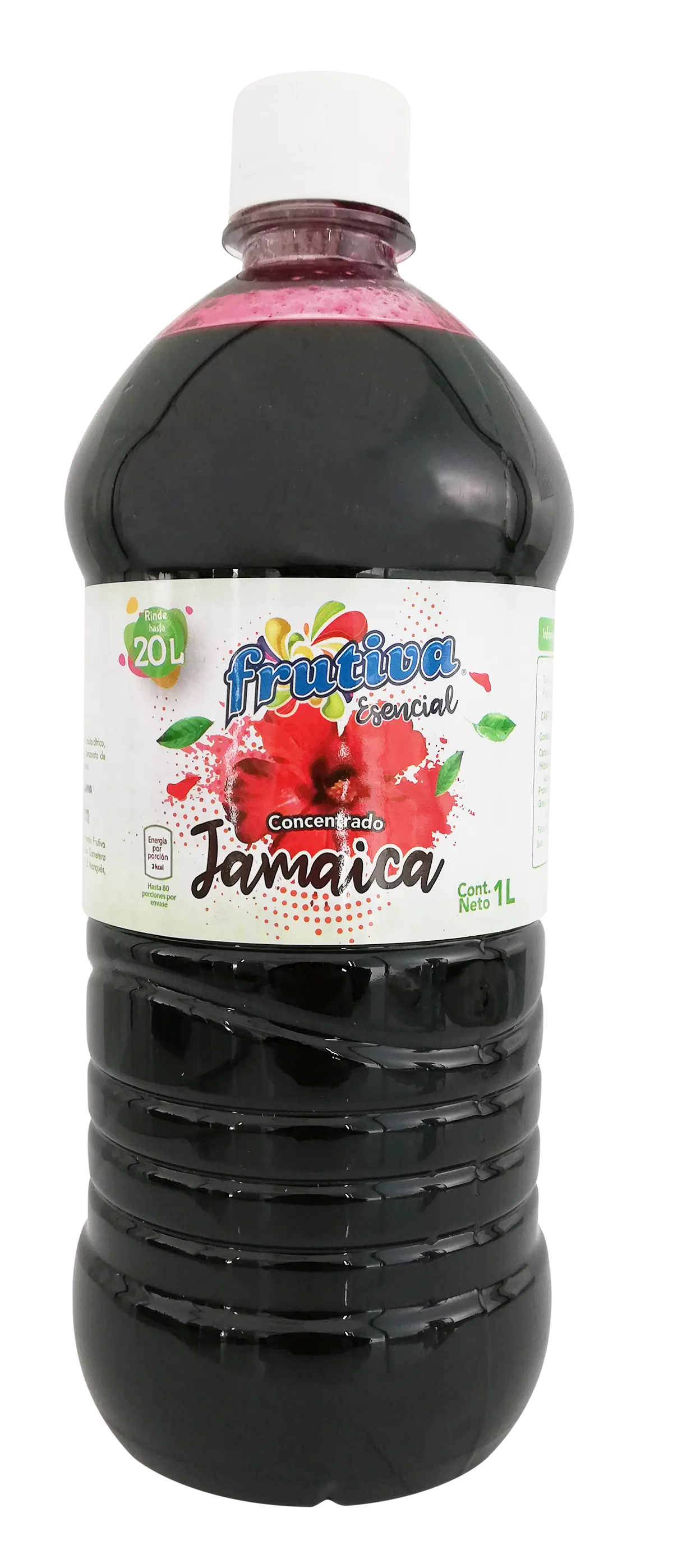 CONCENTRADO JAMAICA FRUTIVA 1L (12)